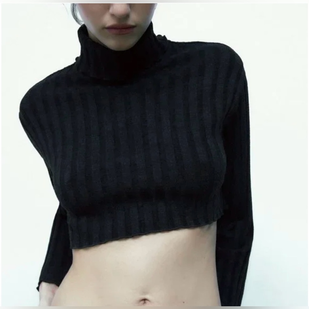 Zara cropped turtle neck